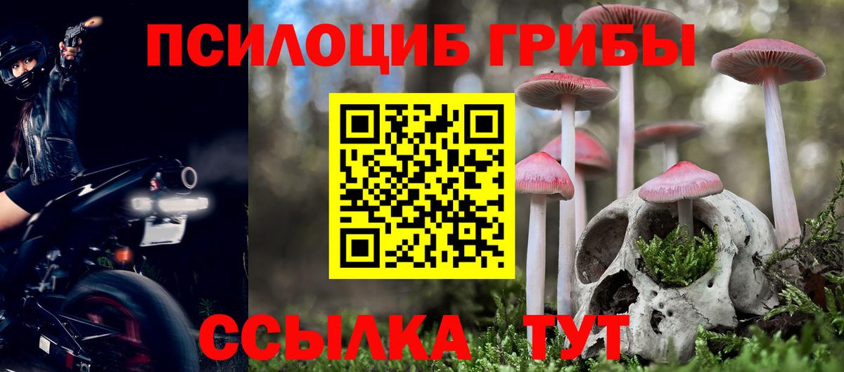 Псилоцибиновые грибы мухоморы Полевской