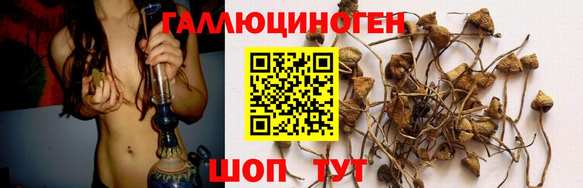 закладки  Галлюциногенные грибы мухоморы  Вход с VPN  Полевской 